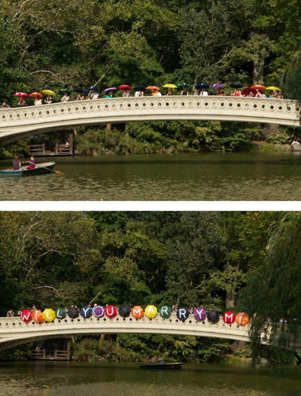 Umbrella Bridge Proposal