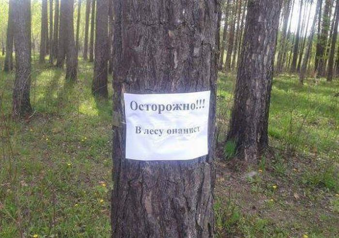 Прикольные картинки (102 фото)