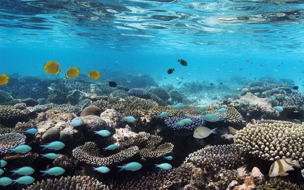 photos_maldives_022