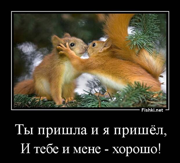 Демотиваторы демотиваторы, прикол, смех, юмор