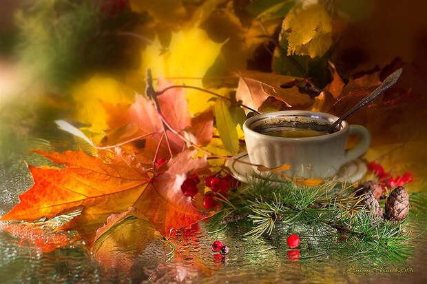 0_fc48f_35dc2e8d_orig (700x466, 281Kb)