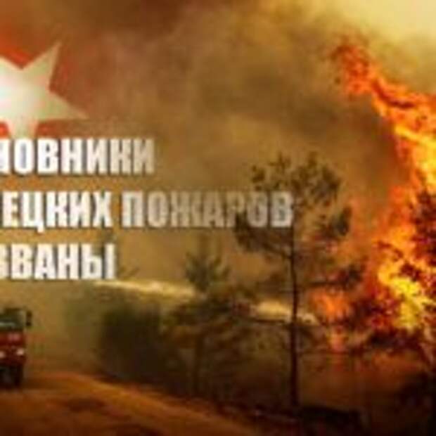 «Дети огня»: В Турции назвали неожиданных ответственных за поджоги лесов