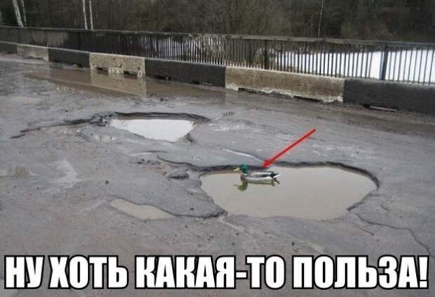 Позитивный пост+16