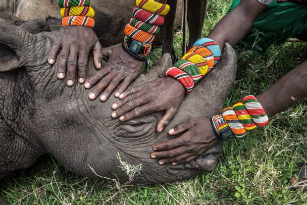 Reteti Elephant Sanctuary, Kenya Ami Vitale | Missoula, United States