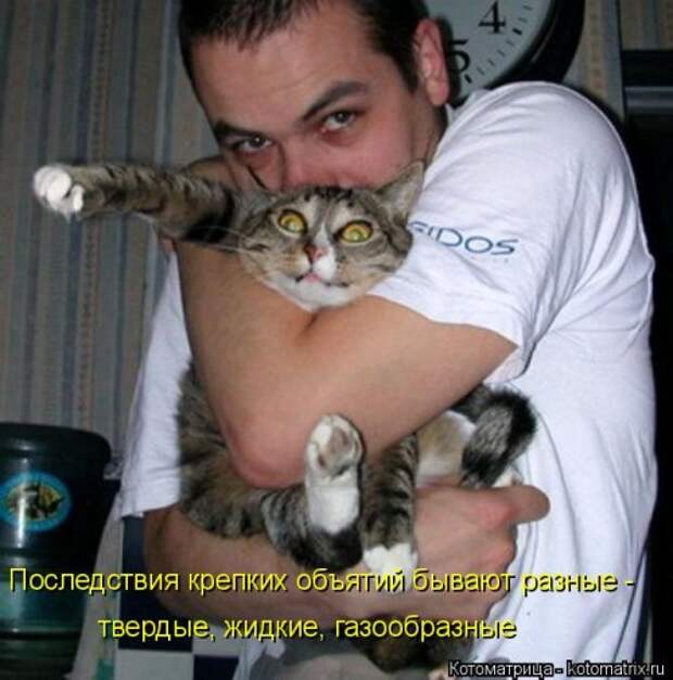 Свежая котоматрица (38 фото)
