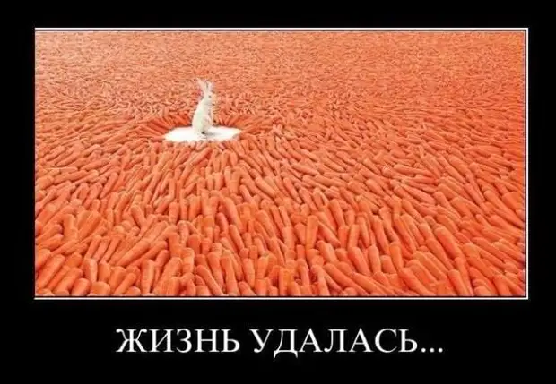 Жизнь удалась! Демотиваторы Очередная, подборка, демотиваторов, хорошего, настроенияисточник