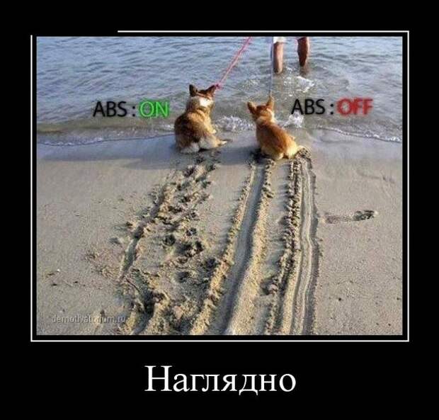 Демотиваторы Демотиваторы демотиваторы, юмор