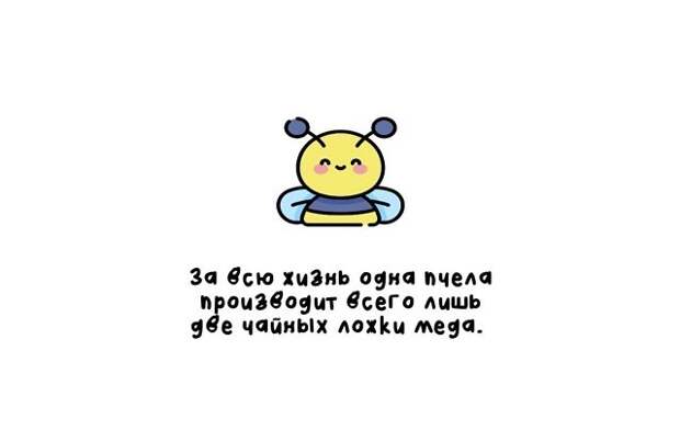 Разные интересные факты на все случаи жизни