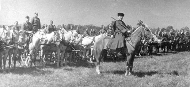 po-berlinskoj-mostovoj-koni-shli-na-vodopoj-3