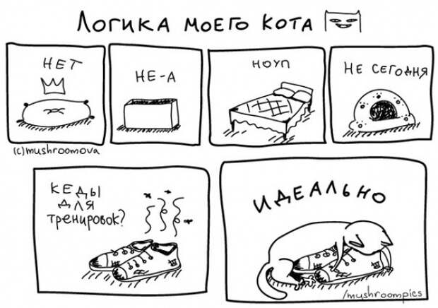 комиксы о жизни котечка насти машрумовой (4)