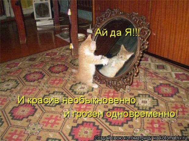 Подборка Котоматриц 2010 - Выпуск 28