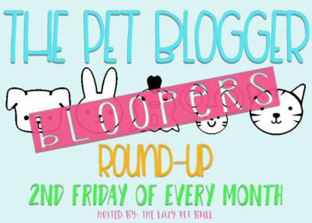 The Pet Blogger Bloopers Round-Up