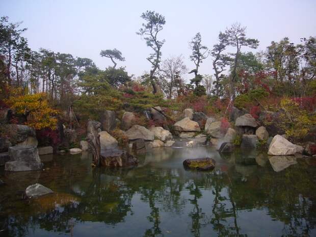 Японский сад (86) (700x525, 302Kb)