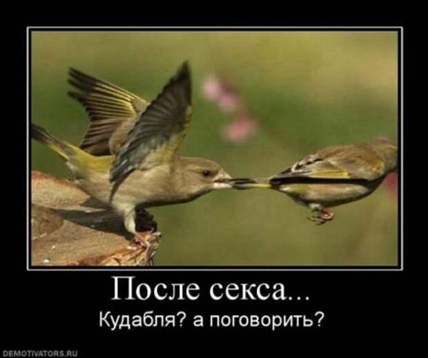 пятничные уматные демки)