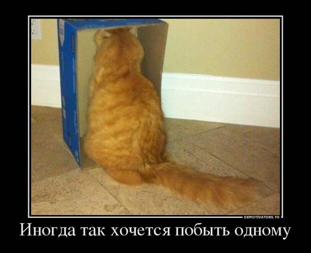 Демотиваторы 