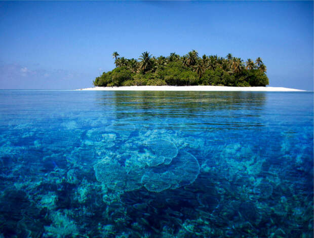 24. Мальдивские острова в мире, вода, планета