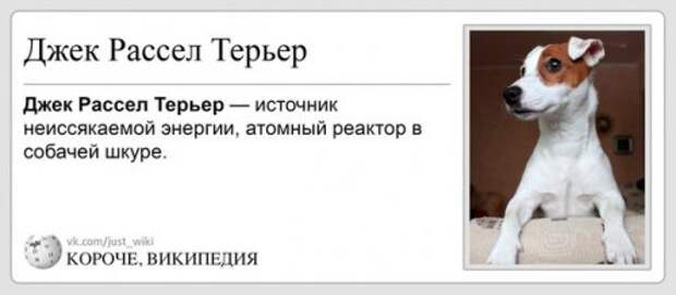 Короче, Википедия (29 фото)