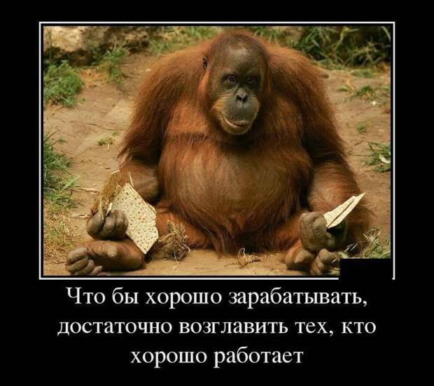 Чтобы хорошо зарабатывать, достаточно возглавить тех, кто хорошо работает демотиватор, юмор