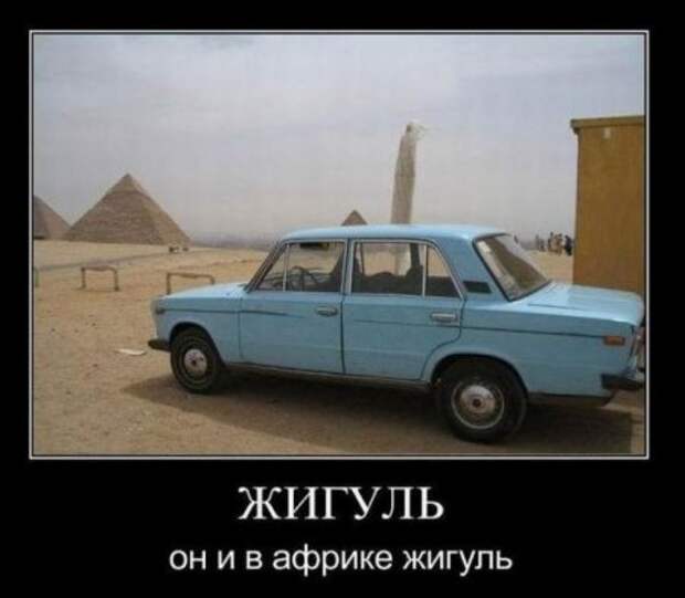 Демотиваторы новые и только смешные.