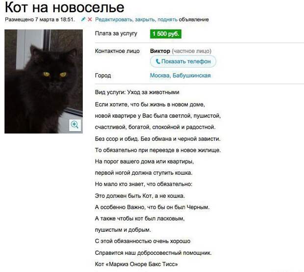Бизнес сильной независимой женщины Бизнес сильной независимой женщины бизнес, прикол, юмор