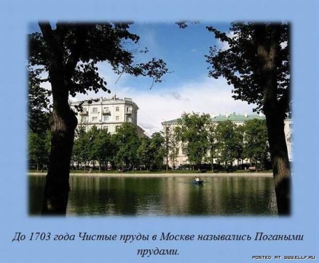 Познавательные факты (25 фото) Познавательные факты (25 фото)