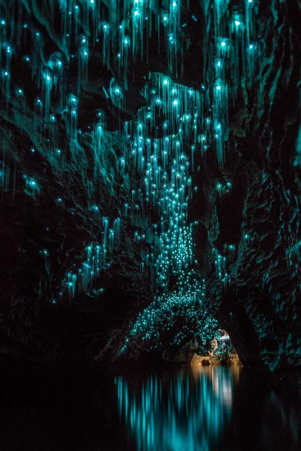 Фотограф запечатлел неповторимые сияющие пещеры Новой Зеландии!