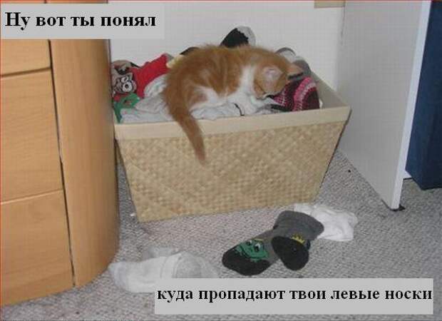 Мысли :) (50мыслей)