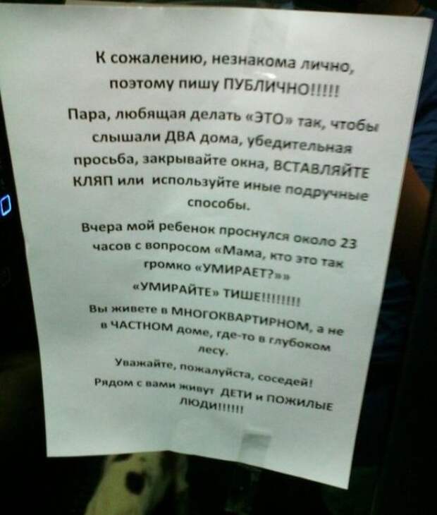 Забавные объявления в наших подъездах (28 фото)