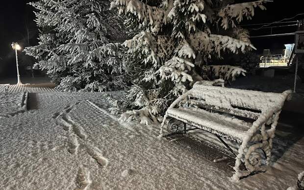 Ветер в 7 баллов, снегопад и тепло: погода испытывает рязанцев