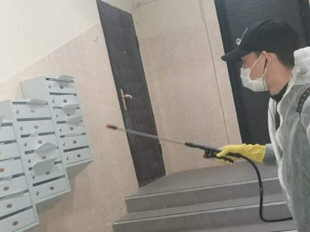 Дезинсекция подъездов 10.jpg