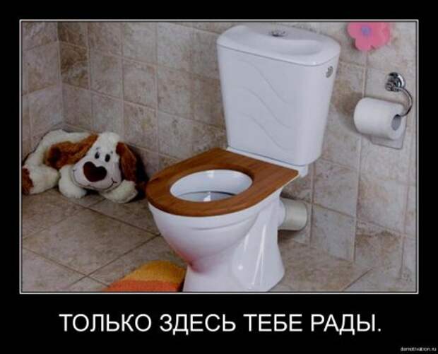 Демотиваторы фото приколы картинки с надписями.