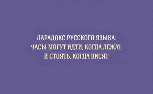 Прикольные картинки об особенностях русского языка (15 шт)