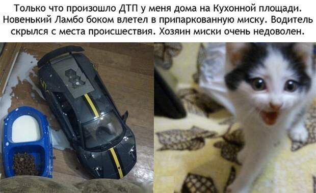 Подборка автоприколов. Часть 76 авто, автоприколы, приколы