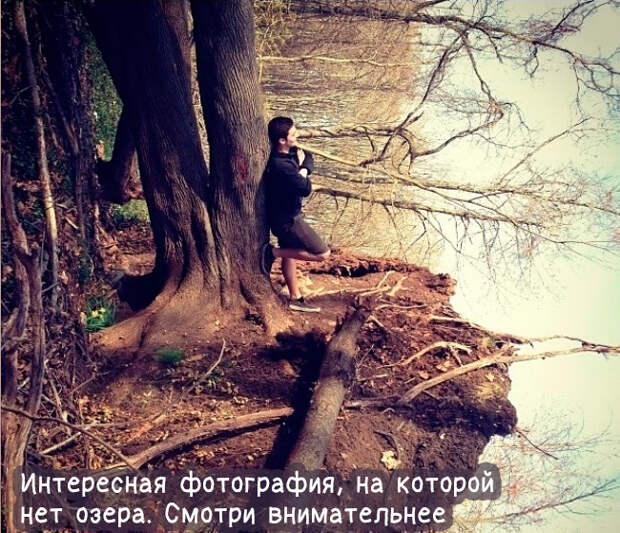 Юмор и прикольные картинки Юмор и прикольные картинки