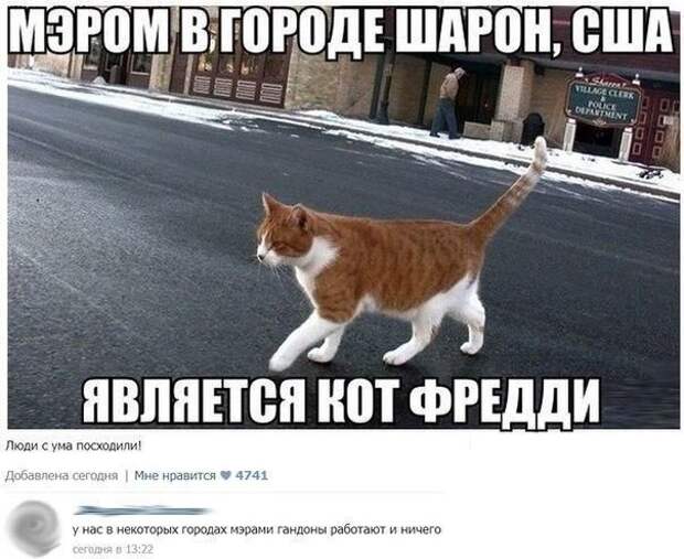 Переписка из социальных сетей