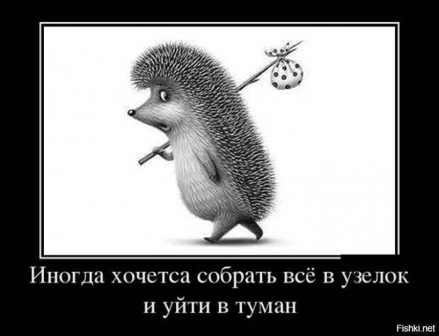 Подборка демотиваторов демотиваторы, прикол, юмор