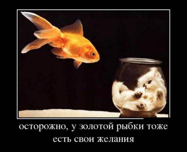 Забавные веселые картинки, демотиваторы