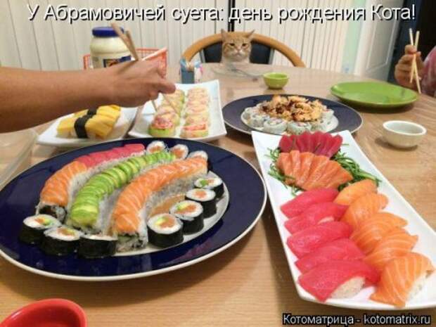 Еженедельная котоматрица (26 фото)