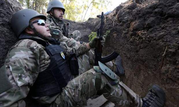 Украинские силовики на Донбассе страдают от полчища мышей