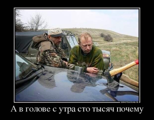 Новые демотиваторы (12 шт)