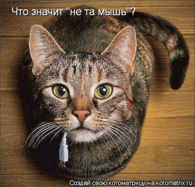 Мысли вслух :)