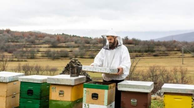 Нужны ли пчелам андроиды или как интернет вещей улучшает сельское хозяйство