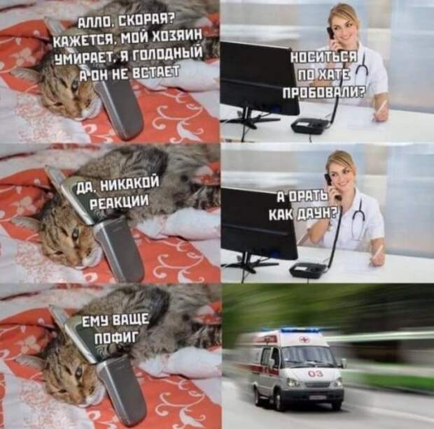 Юмор на любителя Юмор на любителя