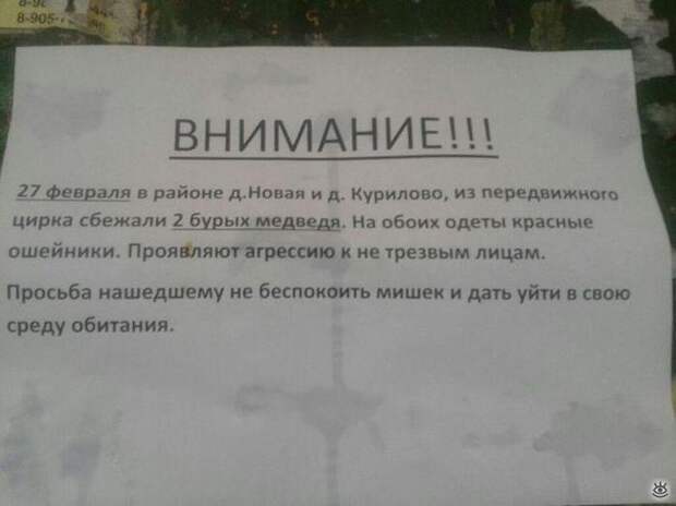 Остроумие и маразм в словах 38