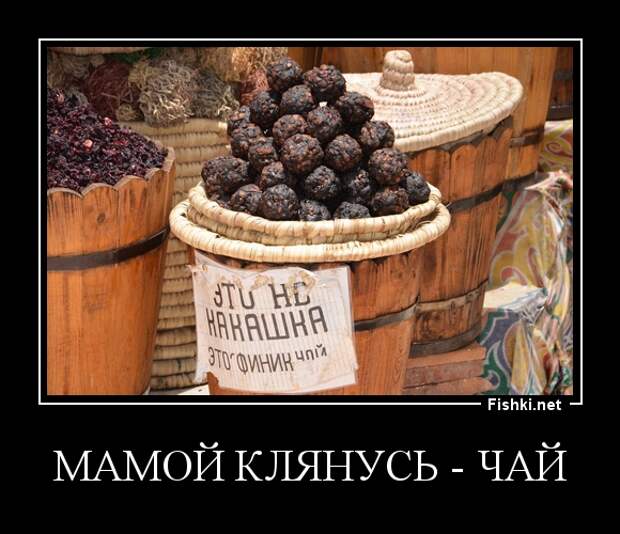 Демотиваторы демотиваторы