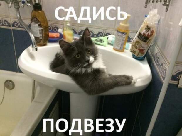 Новые автоприкольные картинки. Свеженькие приколы