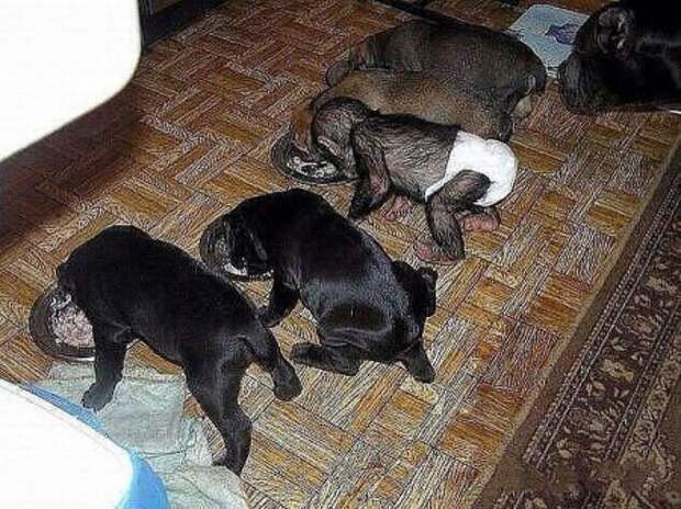 Чужих детей не бывает!