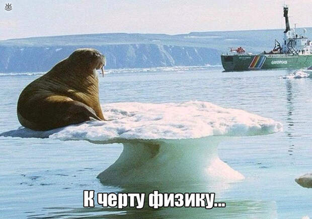Смешные и курьёзные фото из жизни 9