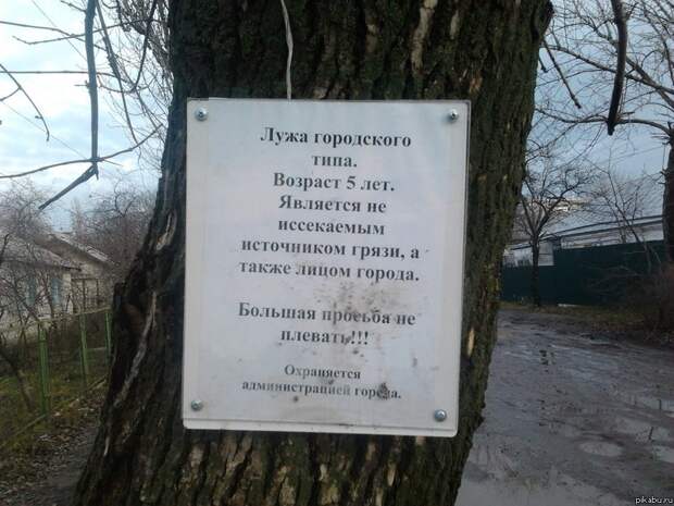Забавные надписи и объявления надписи, объявления, смешно