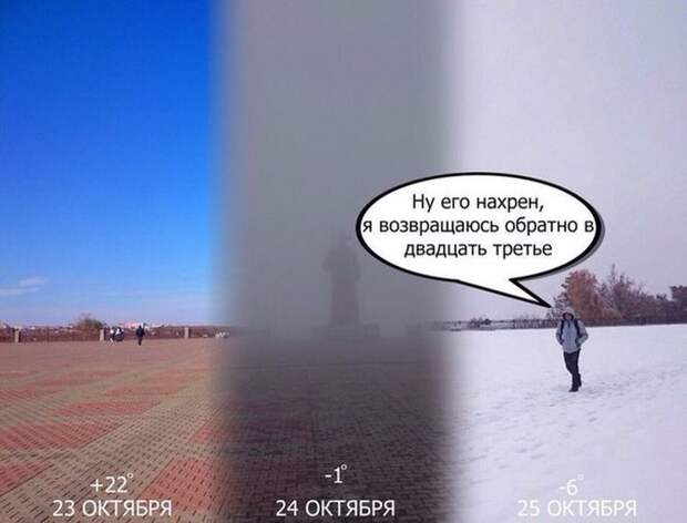 Картинки со смешными подписями